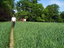 People walking on a field. Photo.