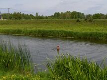 A person swimming in the water. Photo.