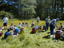 People sitting in the grass. Photo.