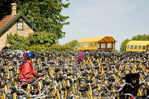 Bicycles. Photo.