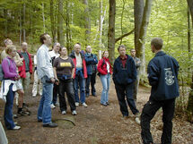 People gathered in the forest. Photo.