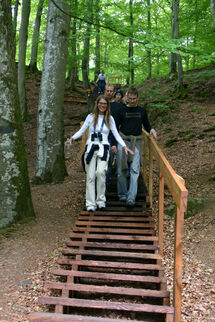 People walking down a stair in the forest. Photo. 
