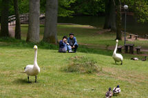 Two people taking a photo of birds. Photo.