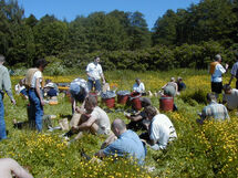 People sitting in the grass. Photo.