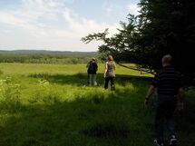 People walking on the field. Photo. 