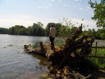 Man standing on a log next to the water. Photo. 